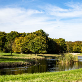 Een groene omgeving bij het monument Kasteel Westhove in Oostkapelle.