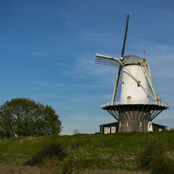 Molen De Koe in Veere. 