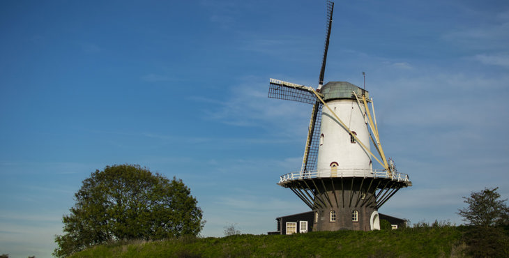 Molen De Koe in Veere. 