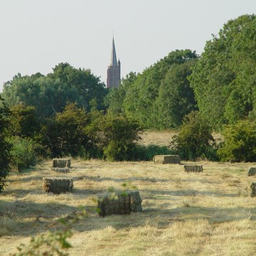 Een heggengebied in de Zak van Zuid-Beveland met op de achtergrond de kerktoren van Nisse.