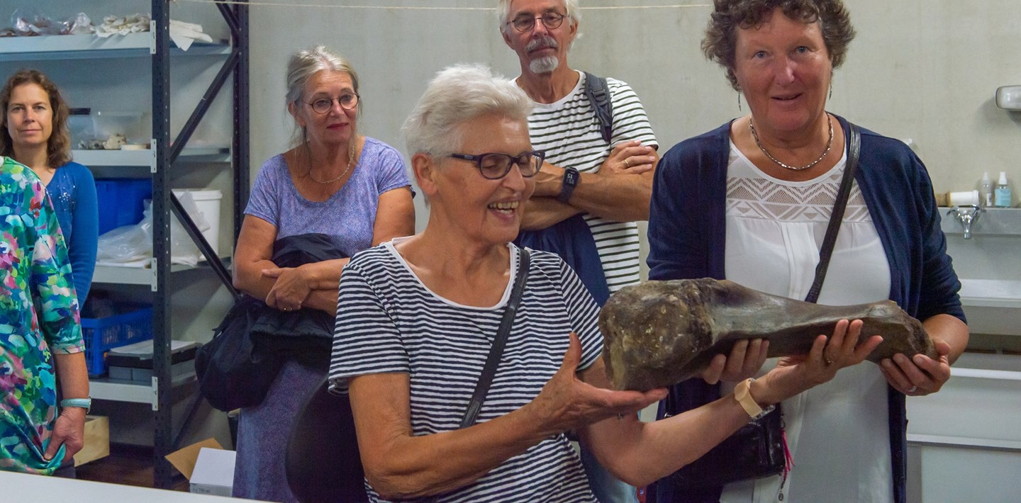 Twee dames bewonderen een mammoetbot in het archeologisch depot tijdens Open Monumentendag bij Erfgoed Zeeland.