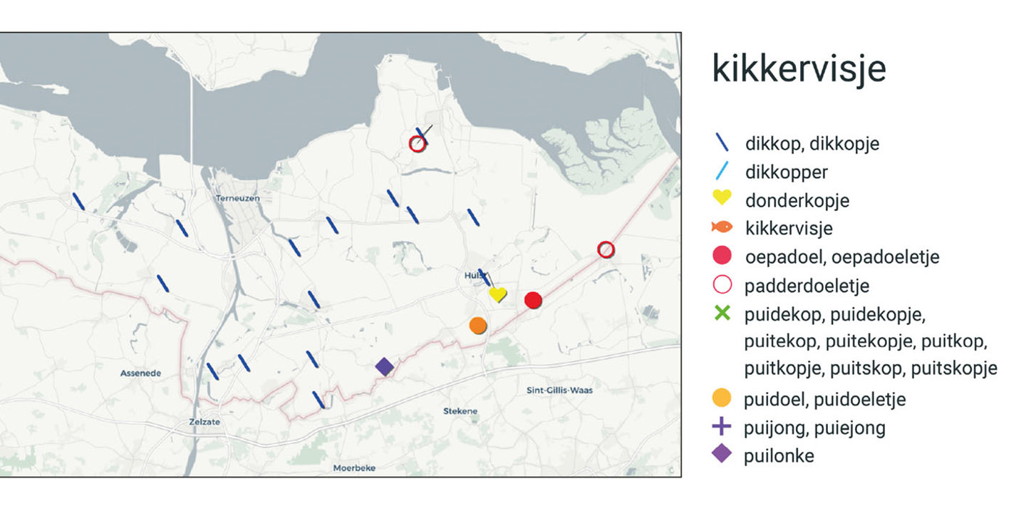 Dialectbenamingen in Zeeuws-Vlaanderen voor kikkervisje.