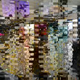 Met een druk op de rode knop zet cultuurgedeputeerde Anita Pijpelink de eerste vijf erfgoededucatielessen online op reizenindetijd.nl.