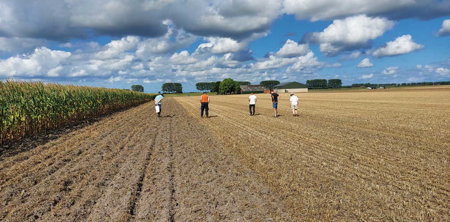 Veldkartering met archeologievrijwilligers bij Sint Kruis, op zoek naar vuurstenen voorwerpen uit de steentijd.