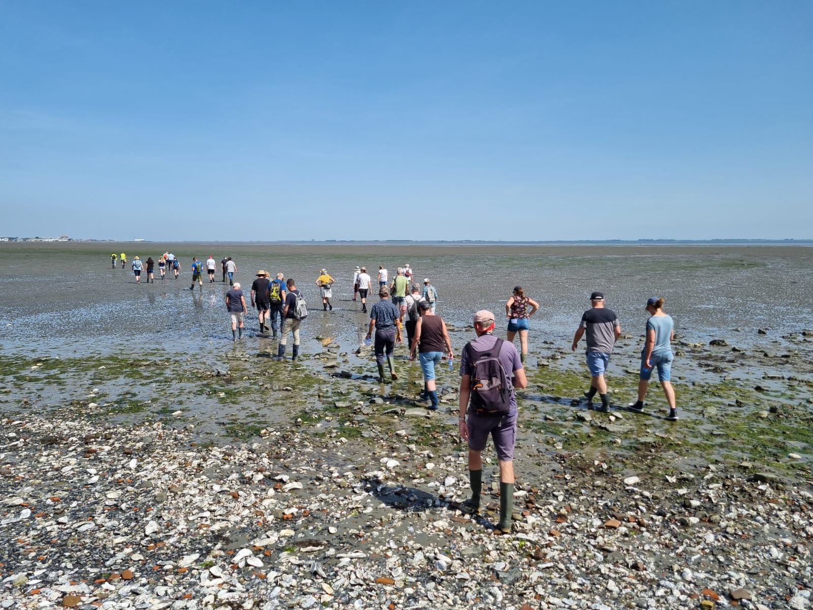 Excursie naar Tolsende tijdens de Nationale Archeologiedagen in juni 2022.