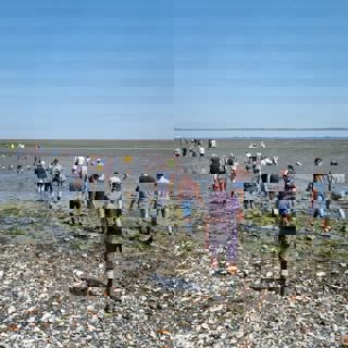 Excursie naar Tolsende tijdens de Nationale Archeologiedagen in juni 2022.