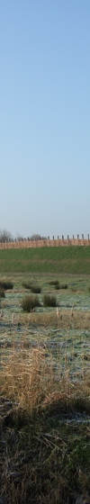 De ringwalburg van Burgh, gelegen in het landschap van Schouwen-Duiveland.