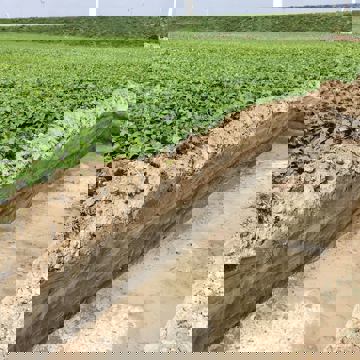 Een in de bodem gegraven proefsleuf voor een archeologisch onderzoek.