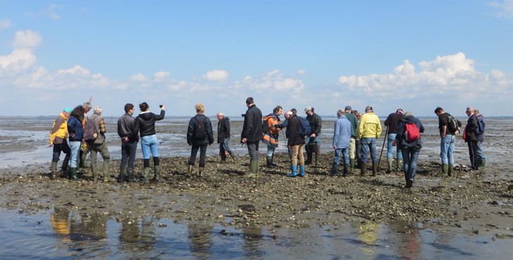 Deelnemers aan de excursie naar het verdronken dorp Tolsende, Oosterschelde
