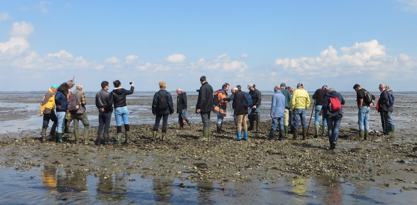 Deelnemers aan de excursie naar het verdronken dorp Tolsende, Oosterschelde
