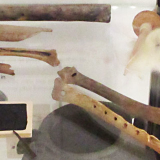 Divers botmateriaal in een vitrinekast in Terra Maris, tijdens de tentoonstelling over het leven in Walichrum in de Vikingtijd.