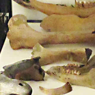 Diverse vondsten in een vitrinekast in Terra Maris, tijdens de tentoonstelling over het leven in Walichrum in de Vikingtijd.