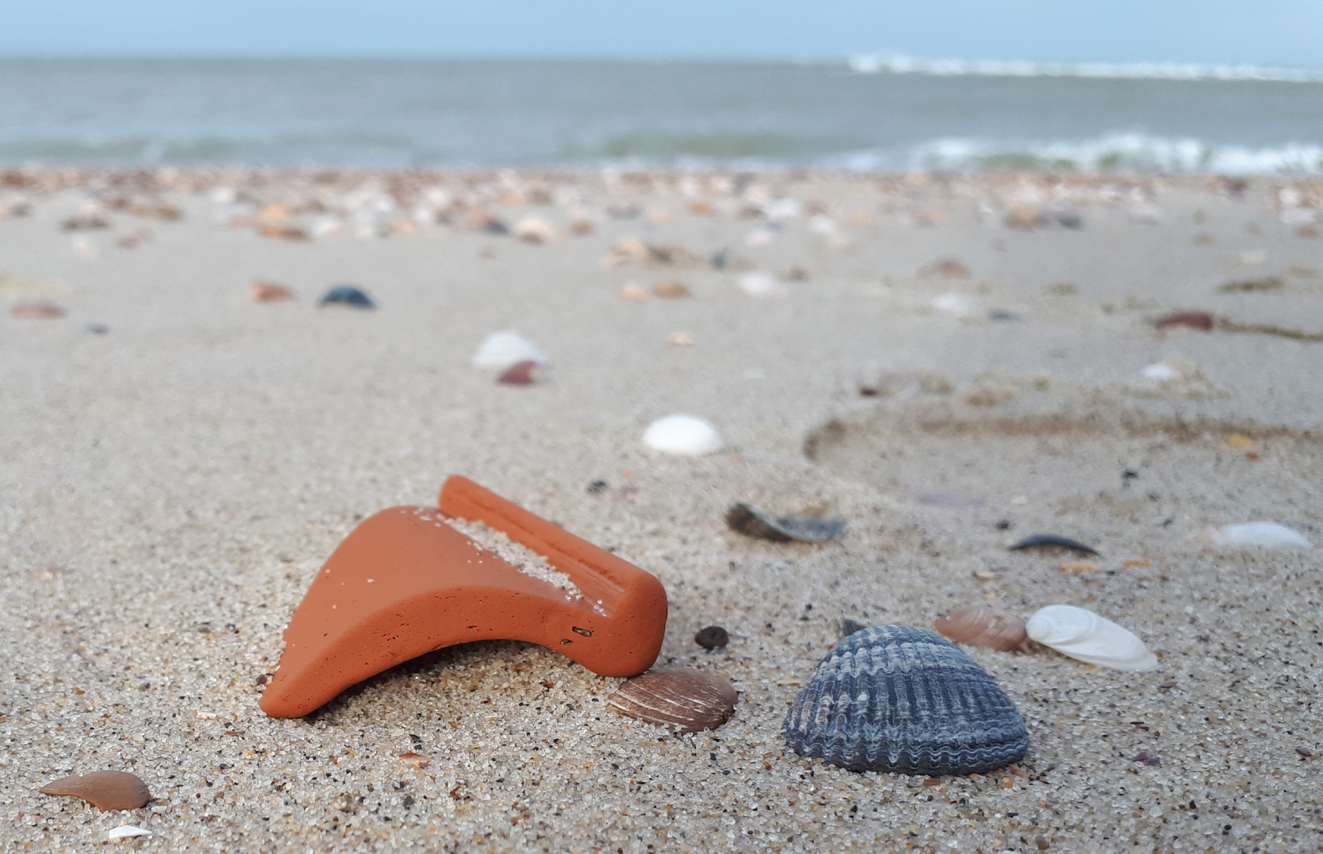 Geregeld spoelen er vondsten aan op het strand van Walcheren en Noord-Beveland (foto Marten Klop).