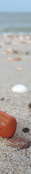 Geregeld spoelen er vondsten aan op het strand van Walcheren en Noord-Beveland (foto Marten Klop).