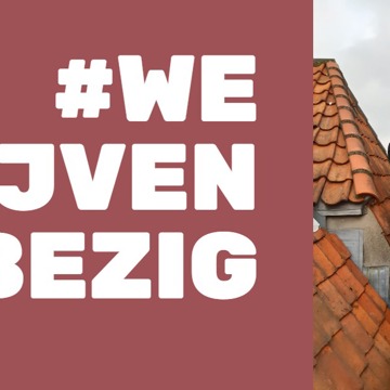 Monumentenwachter Sem voert controle uit op het dak van diverse monumentale panden.