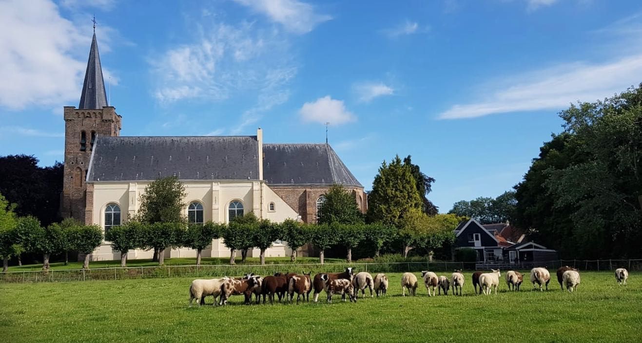 De Dorpskerk in Wemeldinge, PKN.