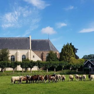De Dorpskerk in Wemeldinge, PKN.