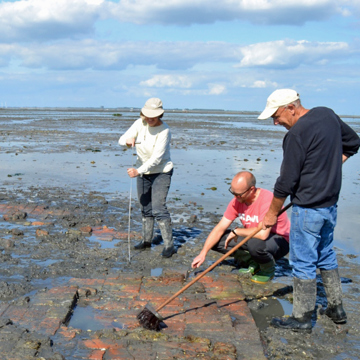 Vrijwilligers in de archeologie aan het werk in Tolsende