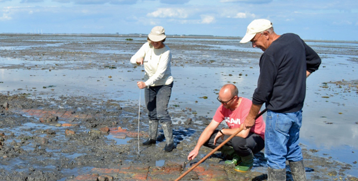 Vrijwilligers in de archeologie aan het werk in Tolsende