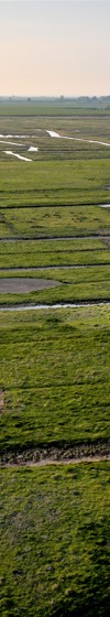 Een van de oudste polderkernen van Zeeland, de Kapelse Moer, foto Marcelle Davidse, Provincie Zeeland