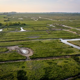 Een van de oudste polderkernen van Zeeland, de Kapelse Moer, foto Marcelle Davidse, Provincie Zeeland