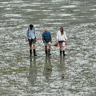 Over de slikken terug naar de dijk bij Platte Bank (foto Astrid Bolk).