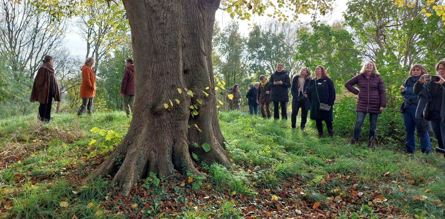 Een groep erfgoedambtenaren staan bij een boom tijdens de cursus 