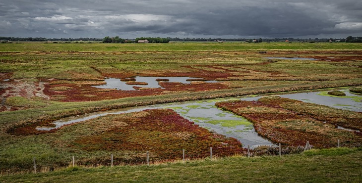 Krekengebied de Schelphoek, onderdeel van het Nationaal Park Oosterschelde.
