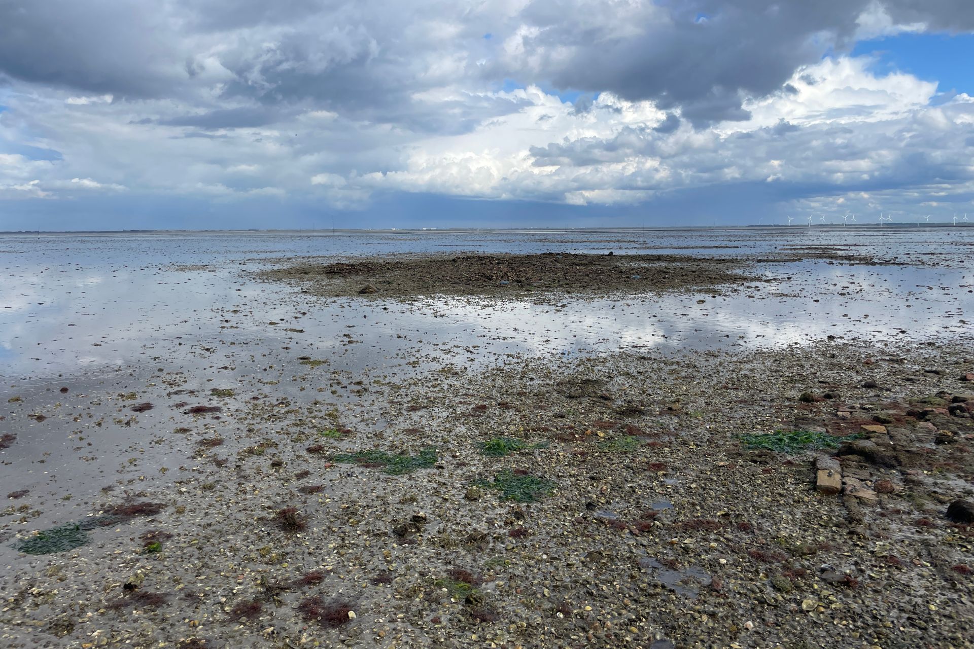 Verborgen middeleeuwse bodemschatten van de Oosterschelde bij laagwater.