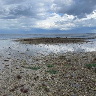 Verborgen middeleeuwse bodemschatten van de Oosterschelde bij laagwater.