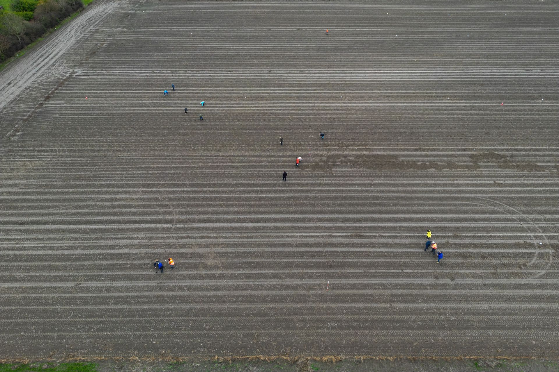 Veldkartering met vrijwilligers (foto Wesley Versteeg).