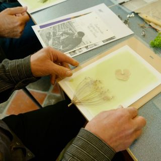 Anthotypie: met lichtgevoelig plantaardig materiaal een afbeelding maken.