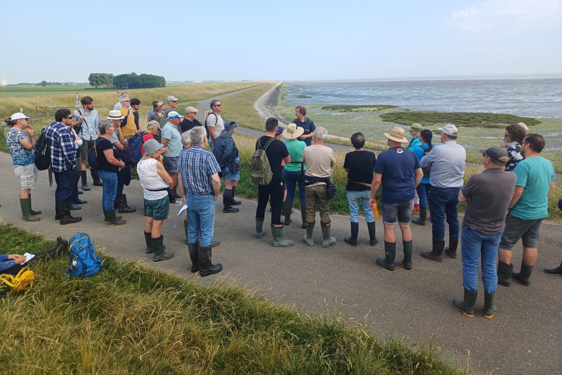 Verzamelen op de dijk in het Natura 2000-gebied (foto Nanda van den Berg).