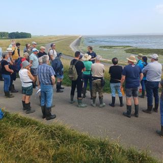 Verzamelen op de dijk in het Natura 2000-gebied (foto Nanda van den Berg).