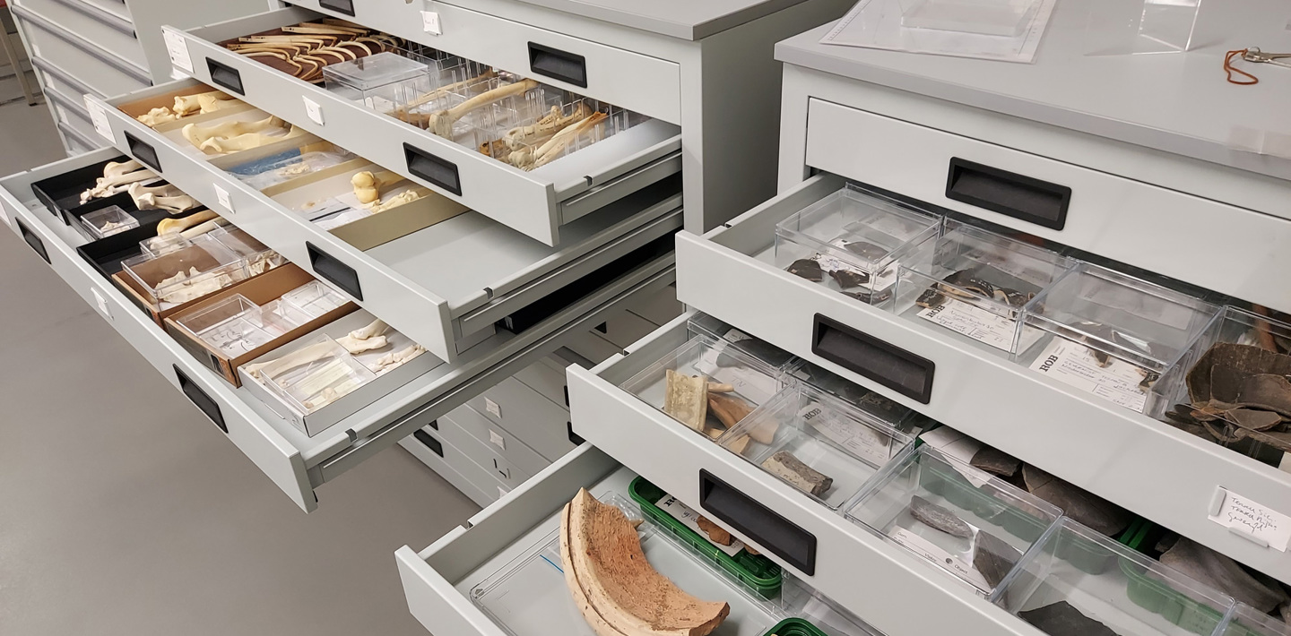 Twee open ladenkasten in het Zeeuws Archeologisch Depot met organische en aardewerk vondsten.